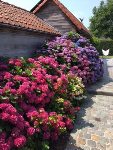 Flemish Cottage Oostkamp Ngoại thất bức ảnh